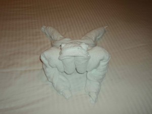 towel animal 3