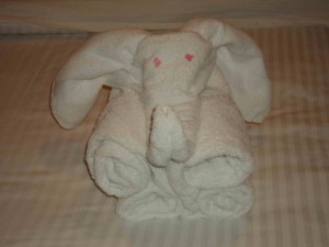 towel animal2