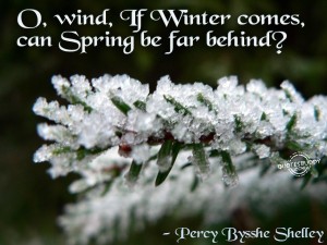 best-winter-quotes-wallpapers-awesome
