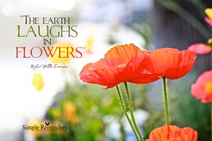 earth-laughs-in-flowers-15